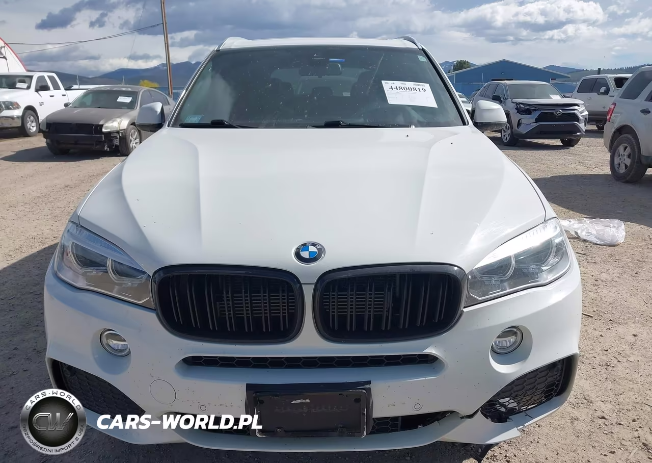 2018 BMW X5 Edrive xDrive40E Iperformance VIN:5UXKT0C5XJ0V98508 - 13