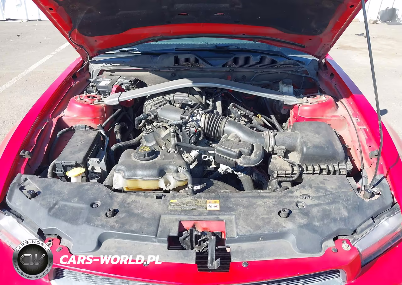 2011 Ford Mustang V6 VIN:1ZVBP8EM3B5159273 - 10