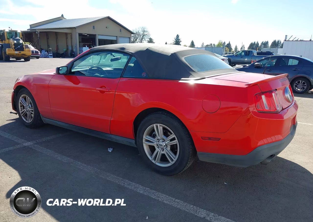 2011 Ford Mustang V6 VIN:1ZVBP8EM3B5159273 - 3