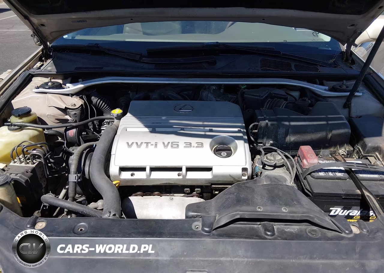 2004 Lexus Es 330 VIN:JTHBA30G545029411 - 10