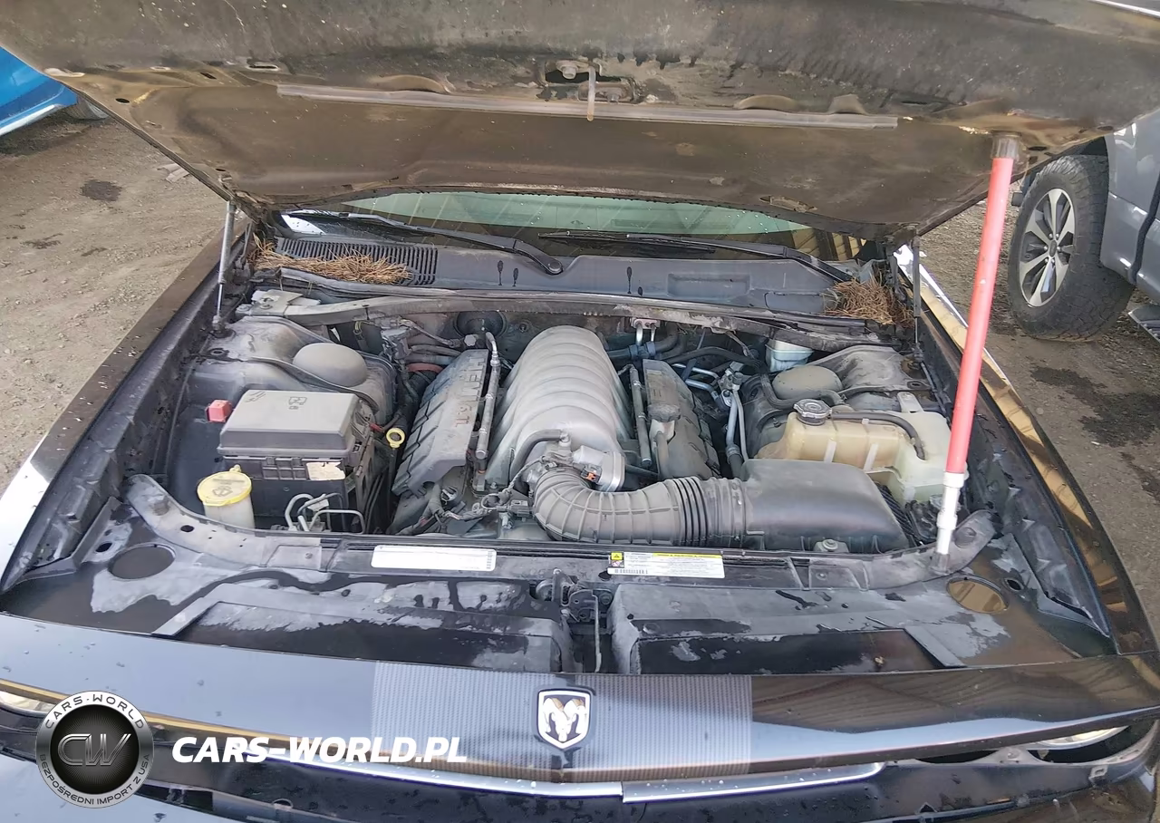 2008 Dodge Challenger Srt8 VIN:2B3LJ74W38H321525 - 10