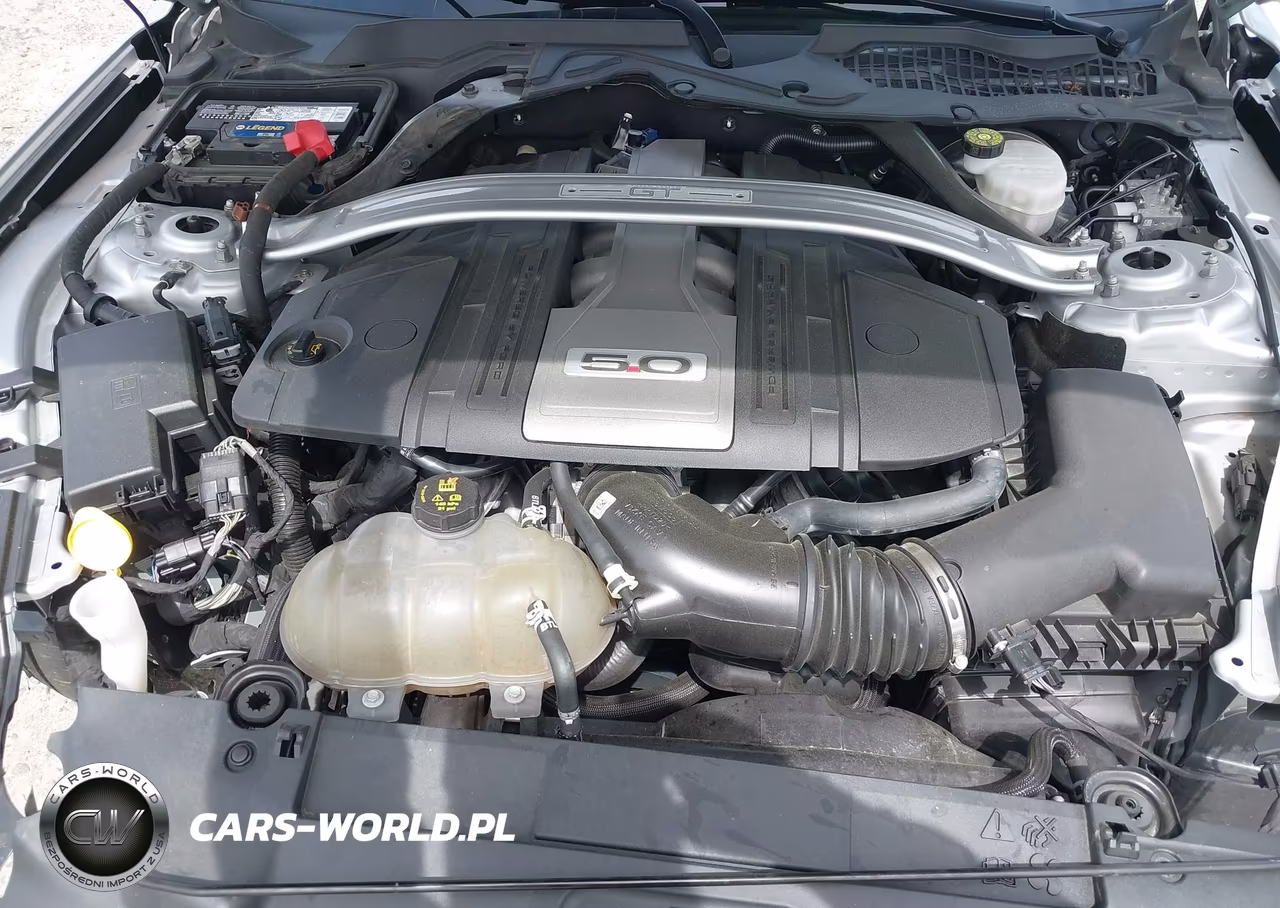 2019 Ford Mustang Gt Premium VIN:1FATP8FF7K5182892 - 10