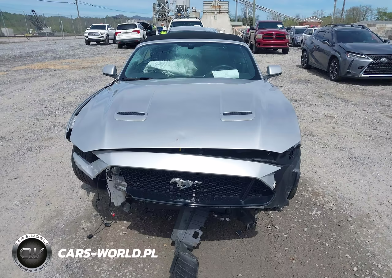 2019 Ford Mustang Gt Premium VIN:1FATP8FF7K5182892 - 12