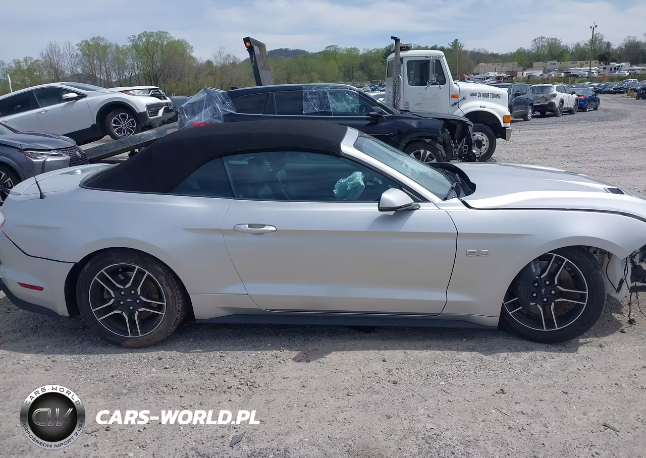 2019 Ford Mustang Gt Premium VIN:1FATP8FF7K5182892 - 13