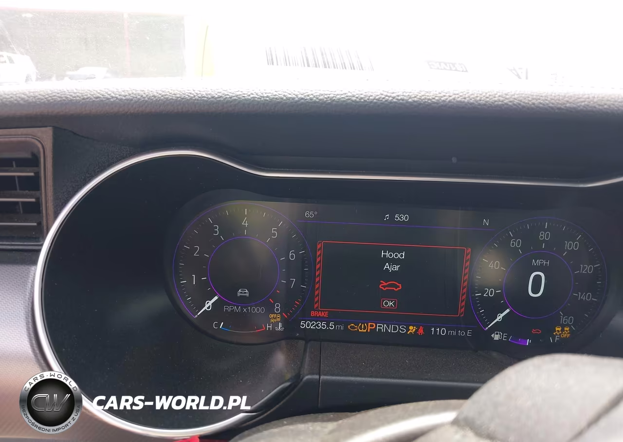 2019 Ford Mustang Gt Premium VIN:1FATP8FF7K5182892 - 15
