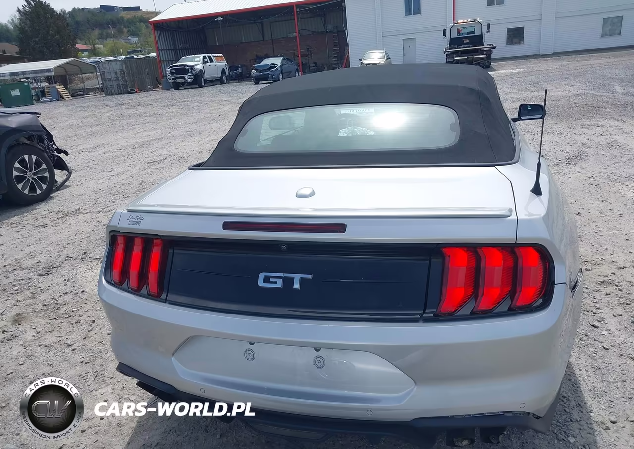 2019 Ford Mustang Gt Premium VIN:1FATP8FF7K5182892 - 16