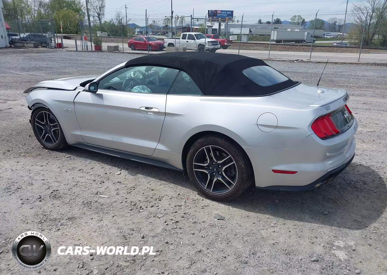 2019 Ford Mustang Gt Premium VIN:1FATP8FF7K5182892 - 3