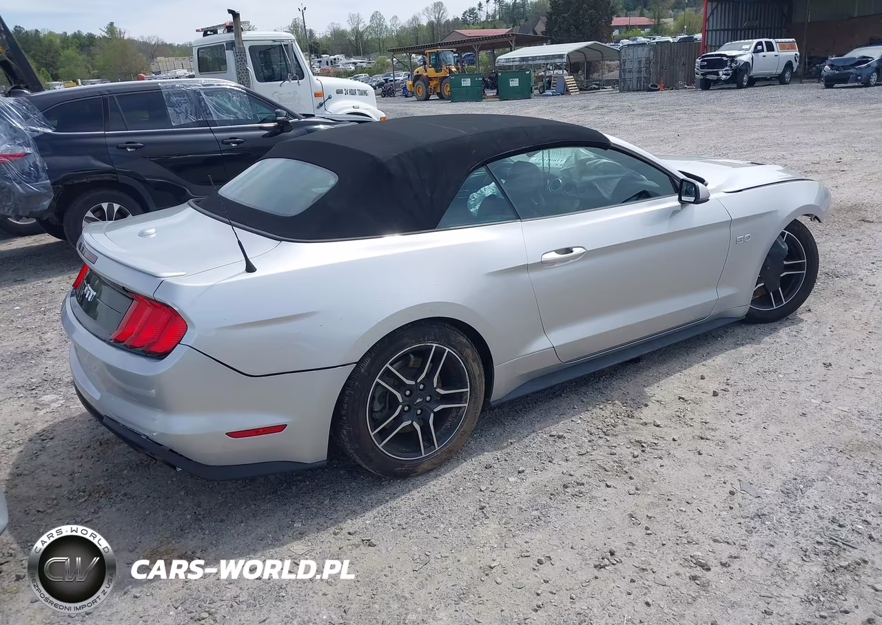 2019 Ford Mustang Gt Premium VIN:1FATP8FF7K5182892 - 4