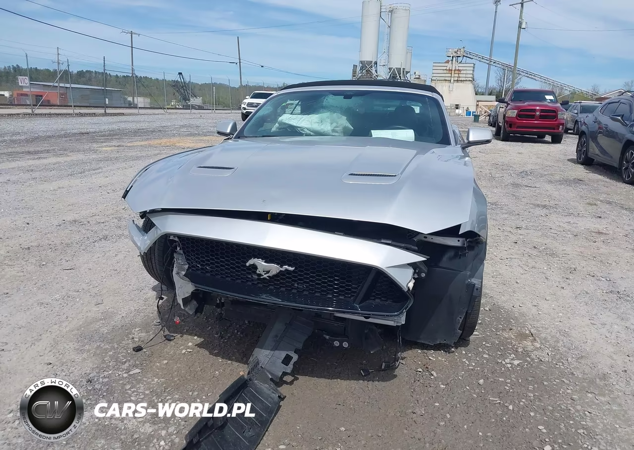 2019 Ford Mustang Gt Premium VIN:1FATP8FF7K5182892 - 6