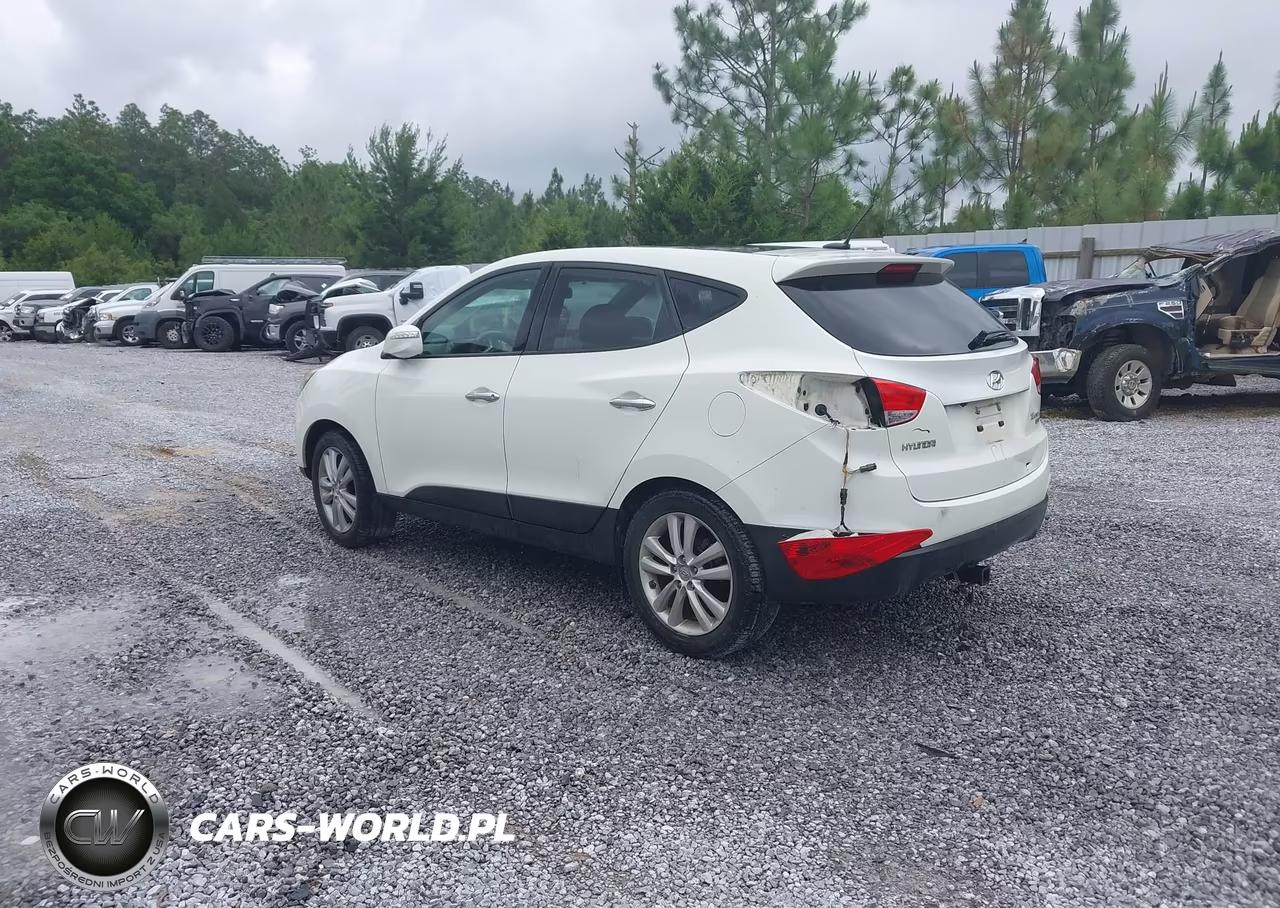 2010 Hyundai Tucson Limited VIN:KM8JU3AC7AU019105 - 3