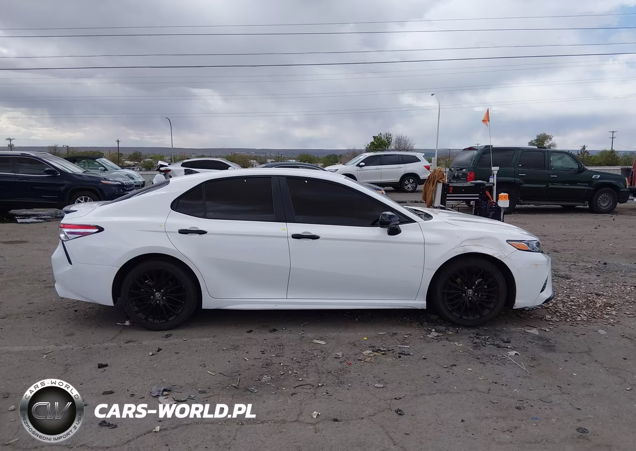 2020 Toyota Camry Se Nightshade Edition VIN:4T1G11AK6LU400591 - 12