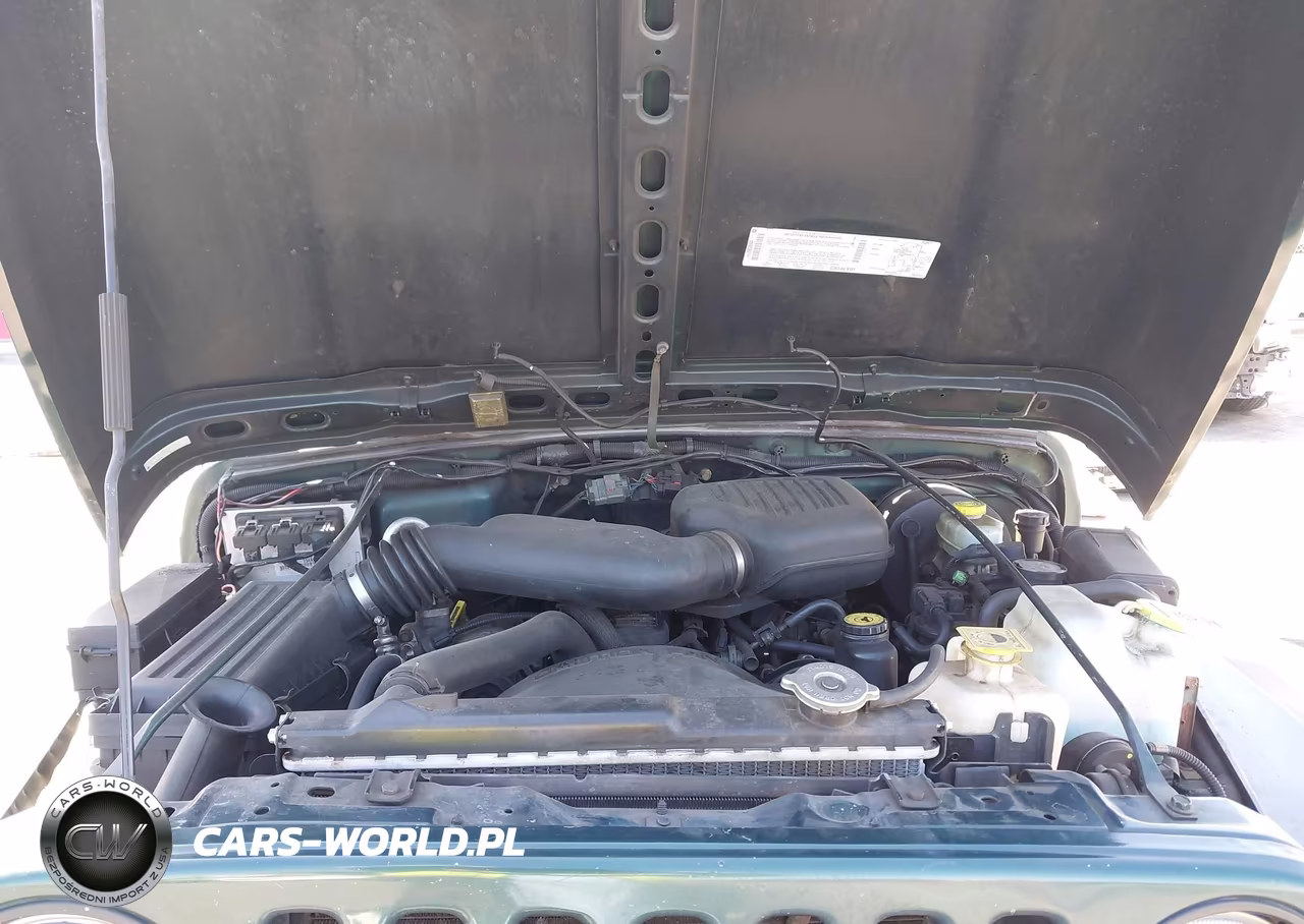 2001 Jeep Wrangler Se VIN:1J4FA29P61P335642 - 10