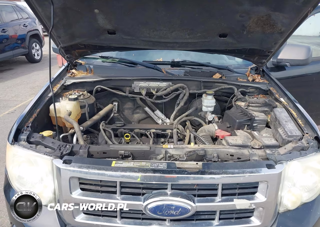2009 Ford Escape Xlt VIN:1FMCU037X9KB28365 - 10