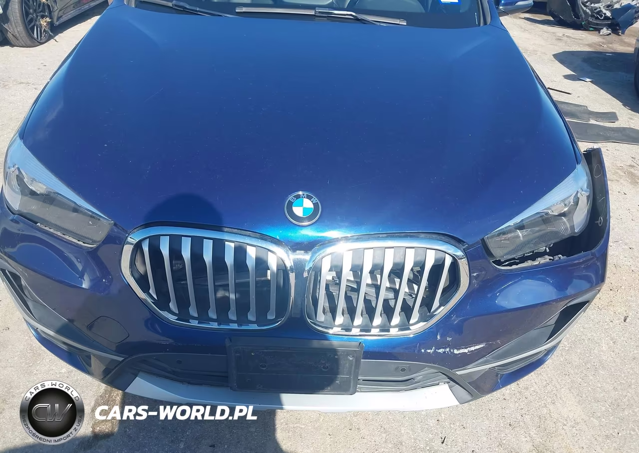2020 BMW X1 Sdrive28I VIN:WBXJG7C02L5P56864 - 6