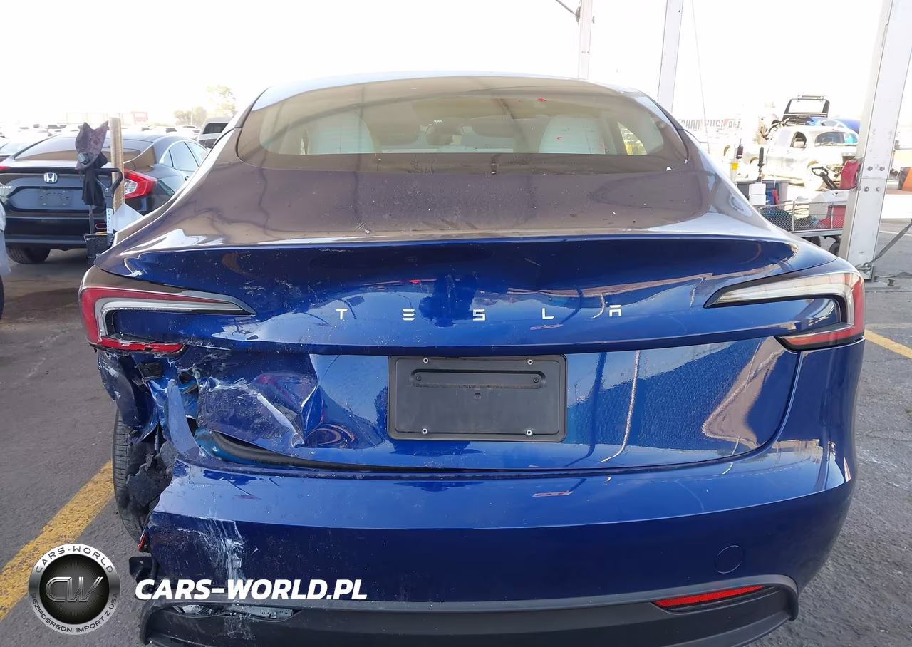 2025 Tesla Model 3 Long Range Rear-Wheel Drive-Standard Rear-Wheel Drive VIN:5YJ3E1EA6SF015323 - 17