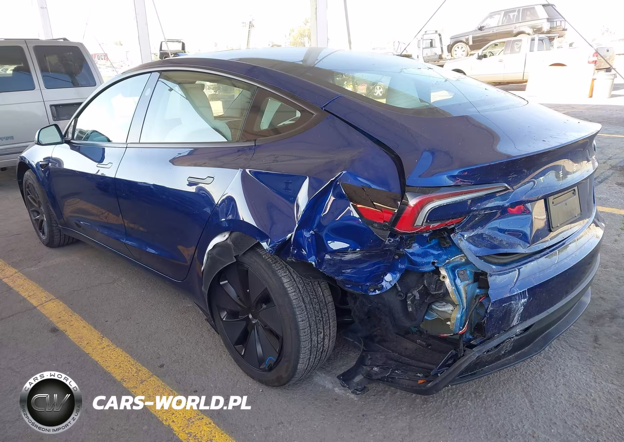 2025 Tesla Model 3 Long Range Rear-Wheel Drive-Standard Rear-Wheel Drive VIN:5YJ3E1EA6SF015323 - 3