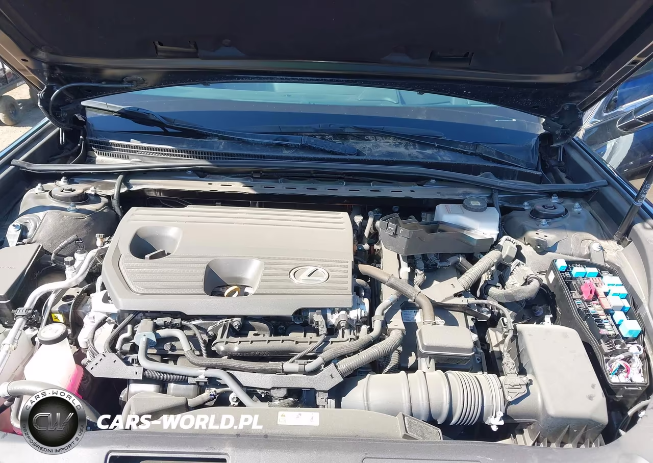 2024 Lexus Es 300H VIN:58ADA1C14RU045820 - 10