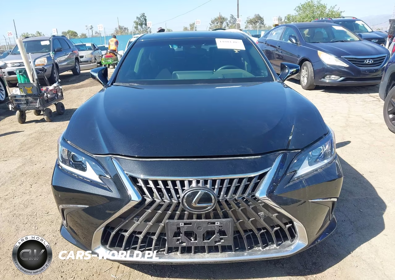 2024 Lexus Es 300H VIN:58ADA1C14RU045820 - 12