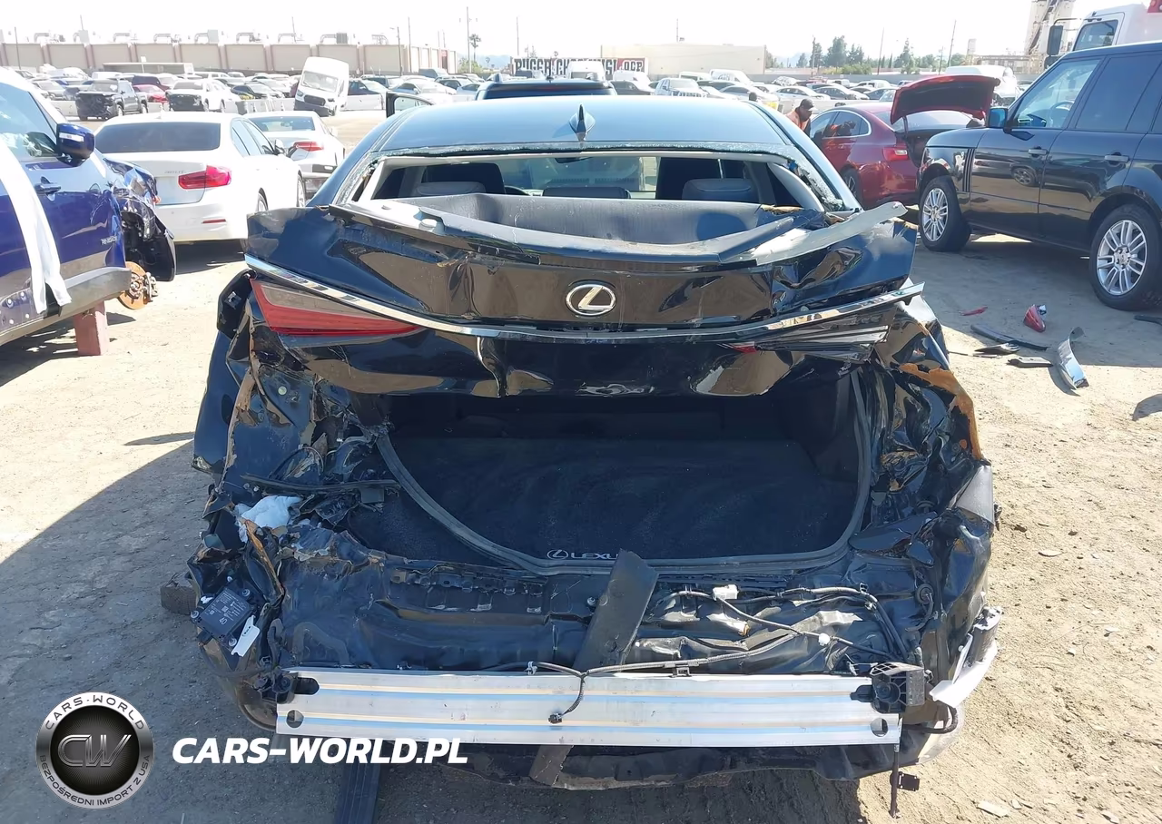 2024 Lexus Es 300H VIN:58ADA1C14RU045820 - 16