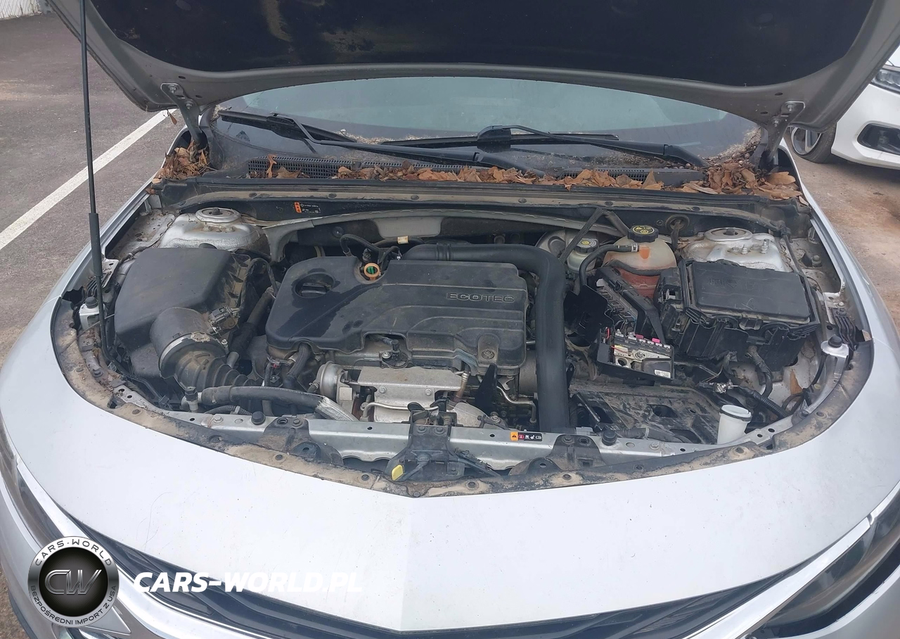 2020 Chevrolet Malibu Fwd Lt VIN:1G1ZD5ST8LF034777 - 10