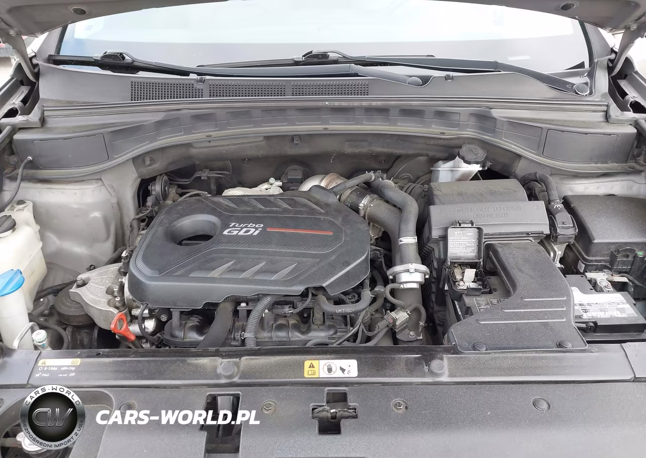 2017 Hyundai Santa Fe Sport 2.0T Ultimate VIN:5XYZW4LA8HG407071 - 10