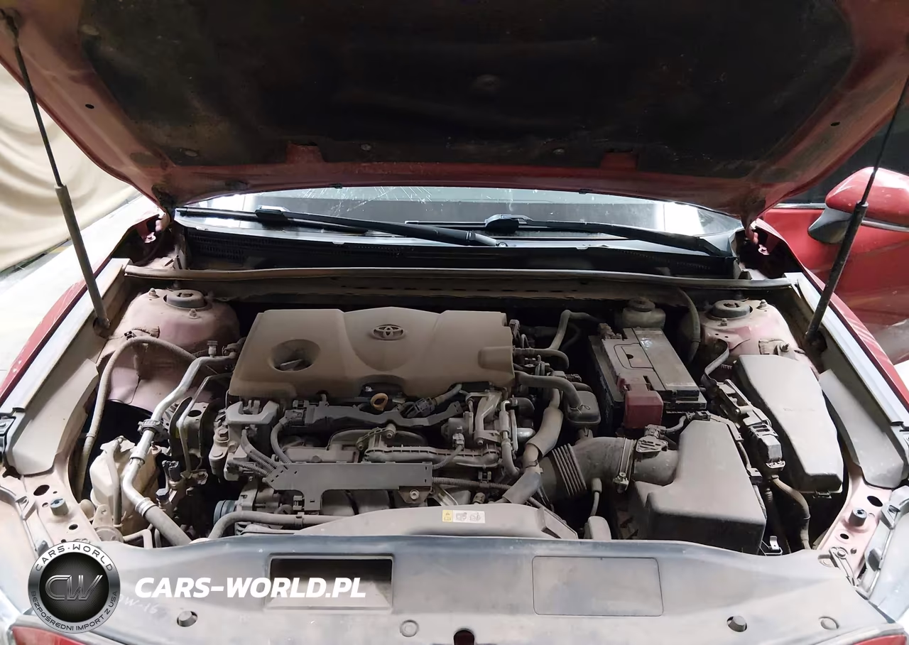 2019 Toyota Camry Se VIN:4T1B11HK2KU285440 - 10