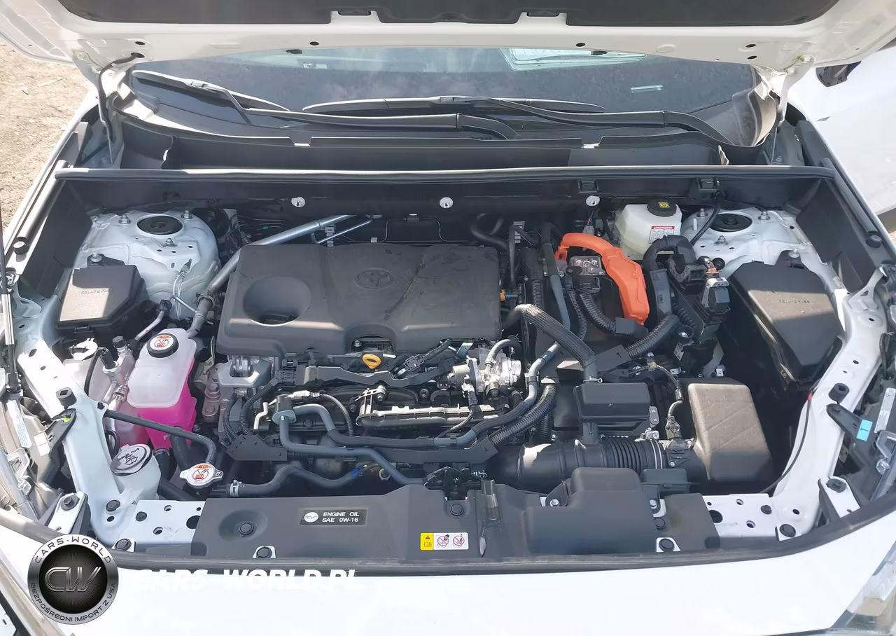 2025 Toyota Rav4 Hybrid Xle VIN:4T3RWRFV1SU208433 - 10