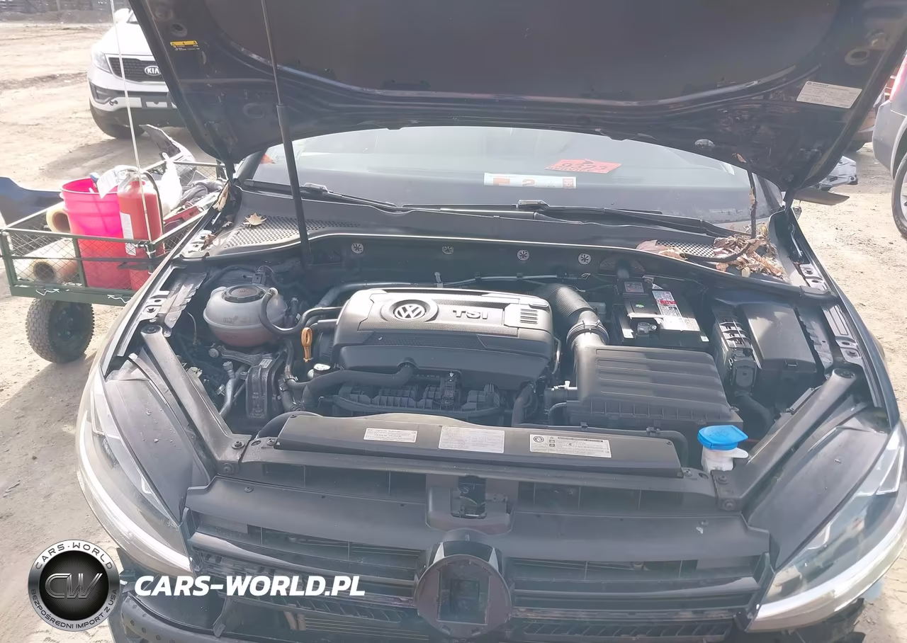 2018 Volkswagen Golf Sportwagen Tsi S-Tsi Se VIN:3VWD17AU7JM756008 - 10