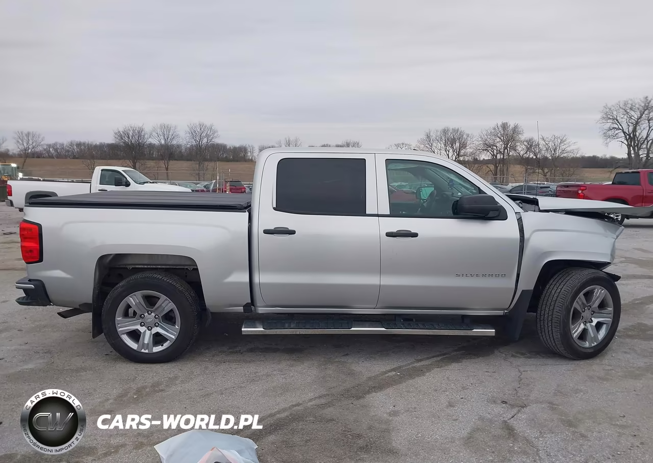 2018 Chevrolet Silverado 1500 Custom VIN:3GCUKPEC6JG349524 - 13