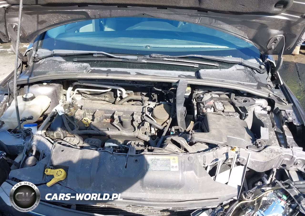 2012 Ford Focus S VIN:1FAHP3E21CL182505 - 10