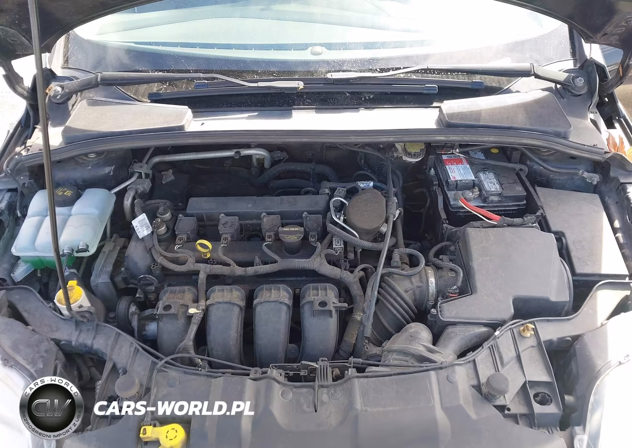 2013 Ford Focus Se VIN:1FADP3F25DL171876 - 10