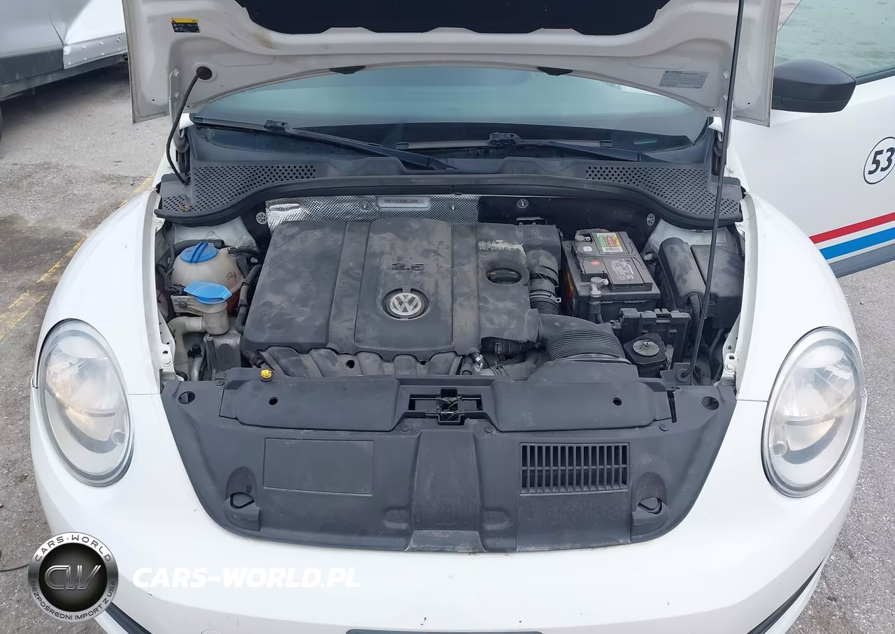 2014 Volkswagen Beetle 2.5L Entry VIN:3VWFP7AT0EM621733 - 10