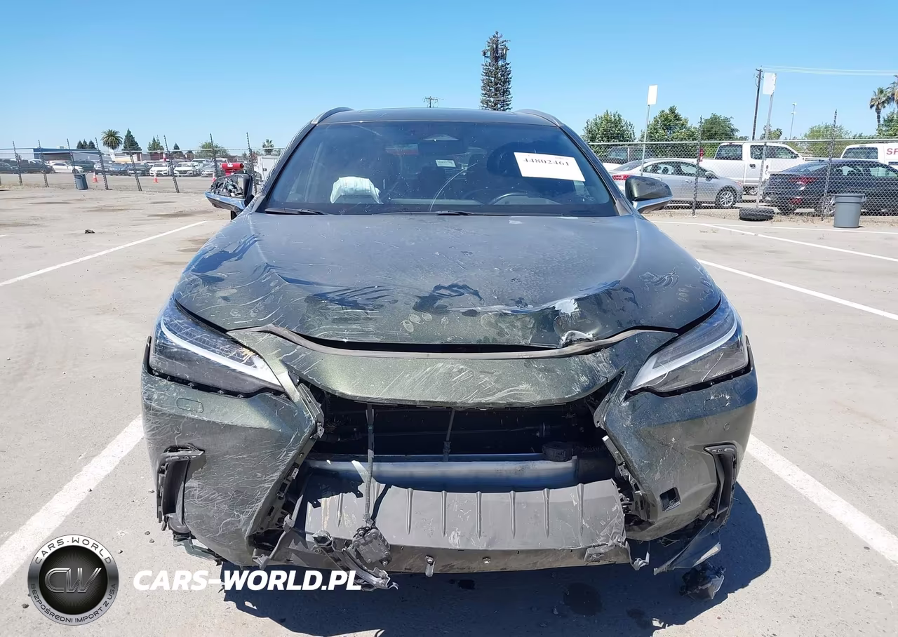 2024 Lexus Nx 450H+ Luxury VIN:JTJHKCFZ3R2030578 - 12