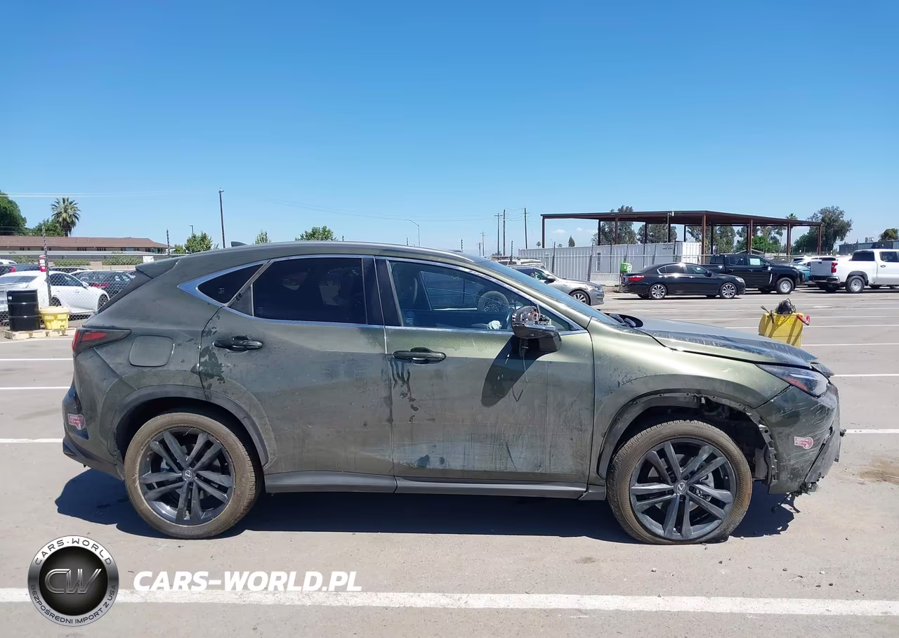 2024 Lexus Nx 450H+ Luxury VIN:JTJHKCFZ3R2030578 - 13