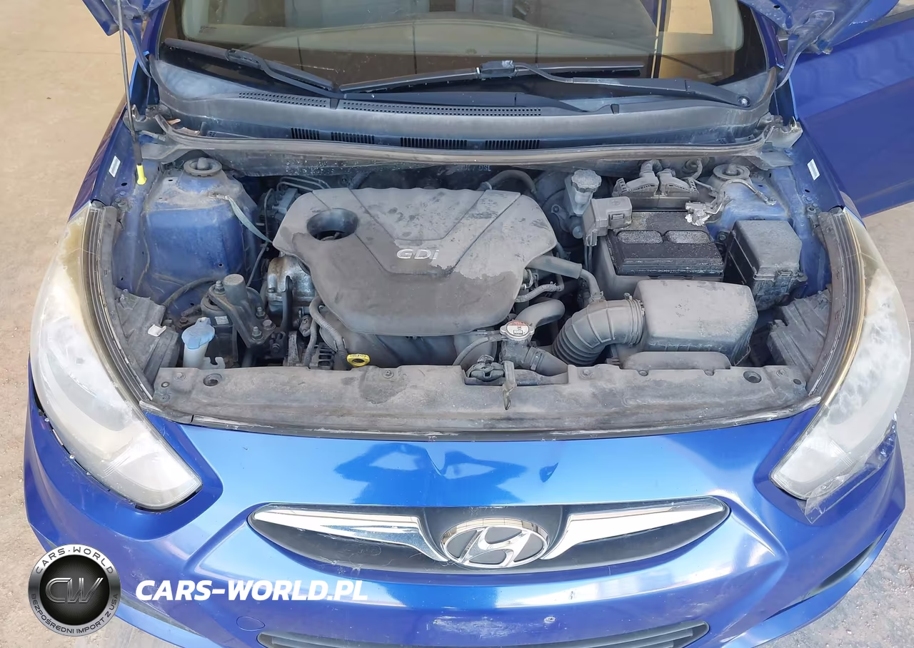 2013 Hyundai Accent Gls VIN:KMHCT4AE1DU499195 - 10