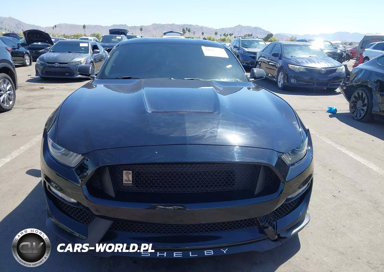 2017 Ford Shelby Gt350 VIN:1FA6P8JZ2H5523381 - 12