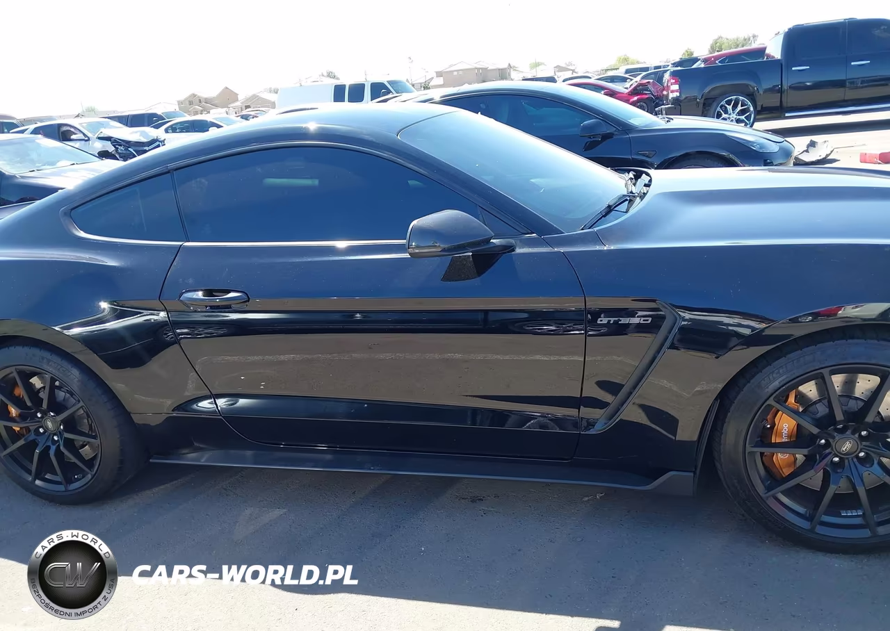 2017 Ford Shelby Gt350 VIN:1FA6P8JZ2H5523381 - 13