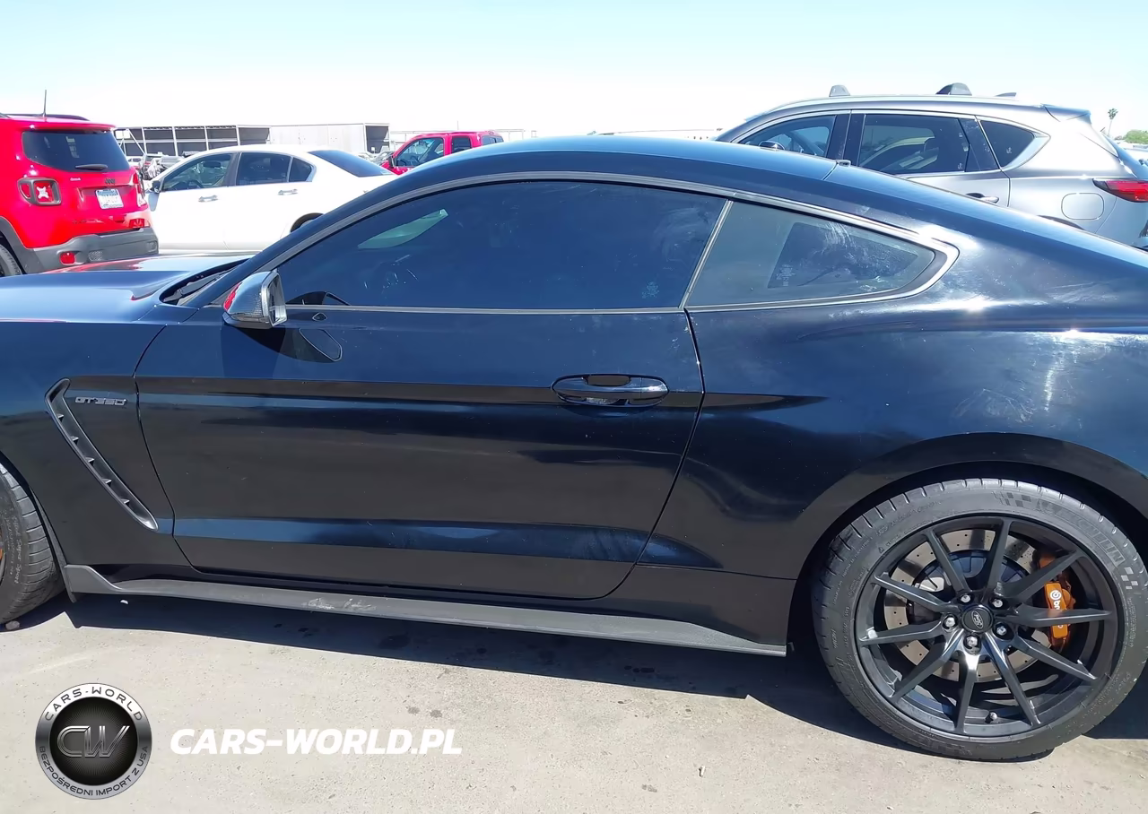 2017 Ford Shelby Gt350 VIN:1FA6P8JZ2H5523381 - 14