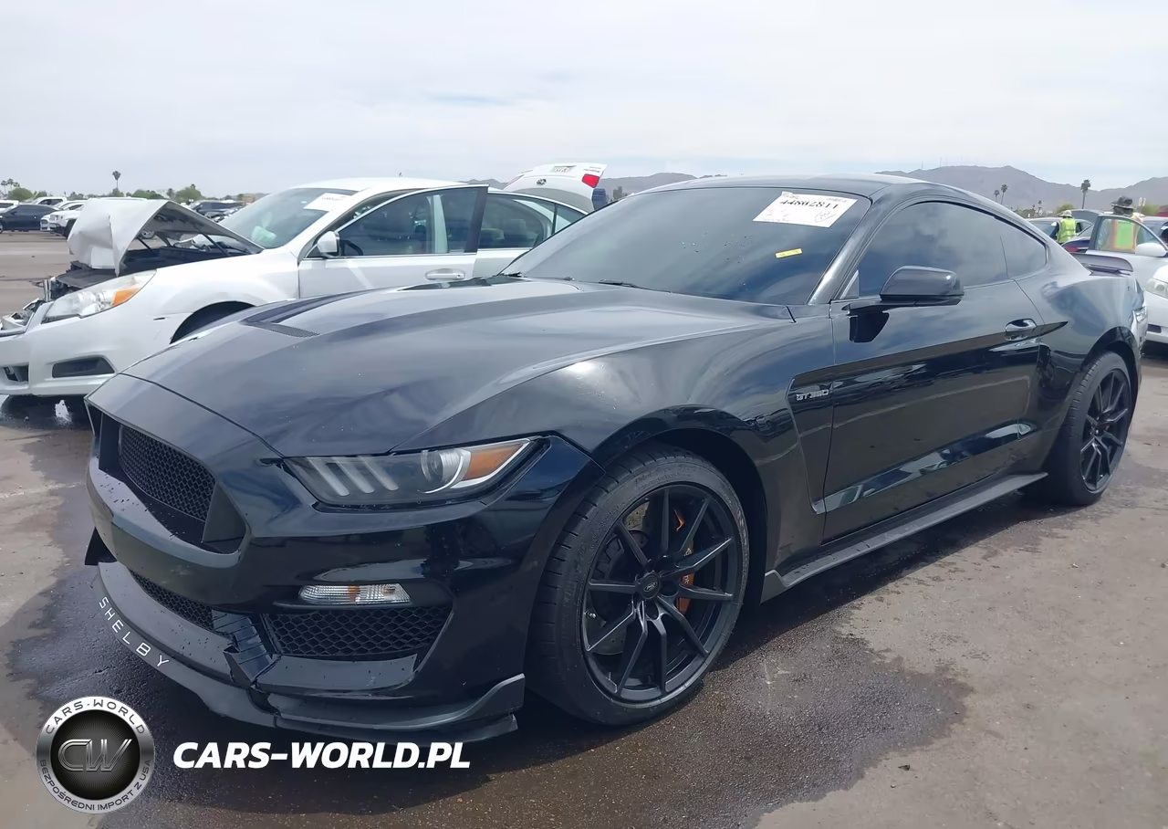 2017 Ford Shelby Gt350 VIN:1FA6P8JZ2H5523381 - 2