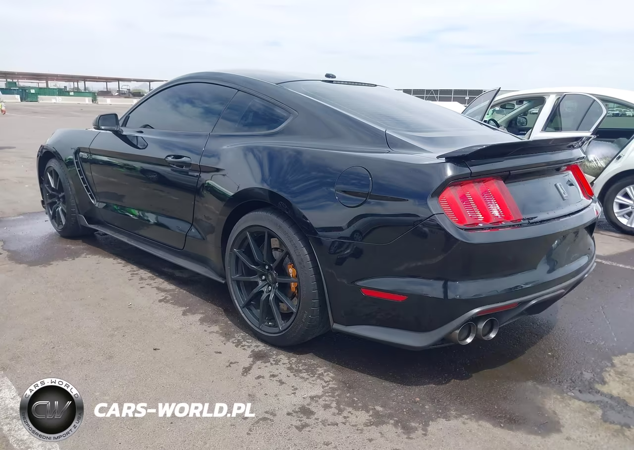 2017 Ford Shelby Gt350 VIN:1FA6P8JZ2H5523381 - 3