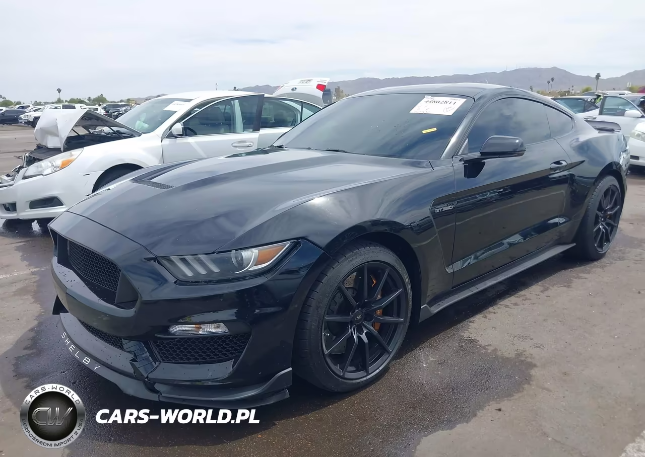 2017 Ford Shelby Gt350 VIN:1FA6P8JZ2H5523381 - 6