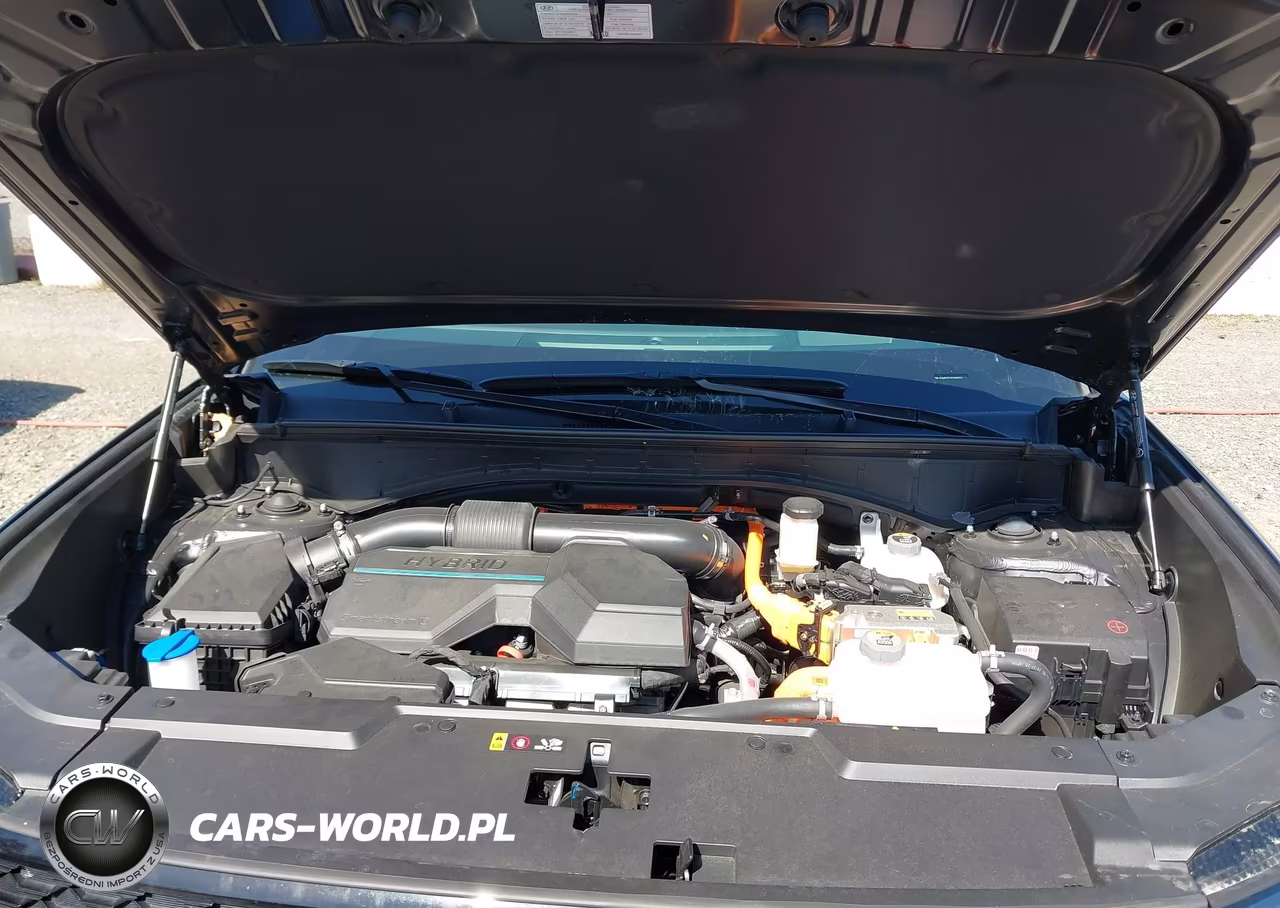 2025 Hyundai Santa Fe Hybrid Calligraphy VIN:5NMP5DG15SH043533 - 10