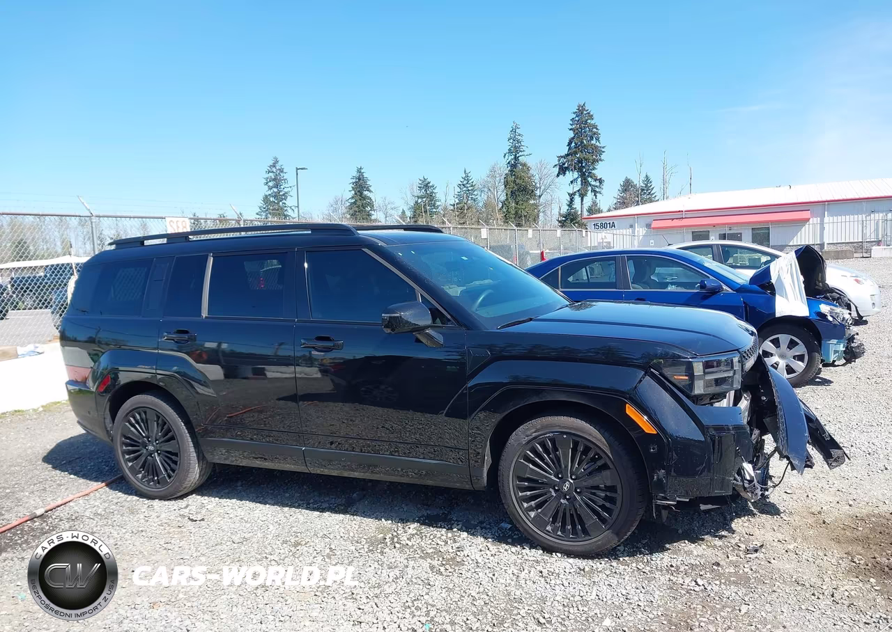 2025 Hyundai Santa Fe Hybrid Calligraphy VIN:5NMP5DG15SH043533 - 13