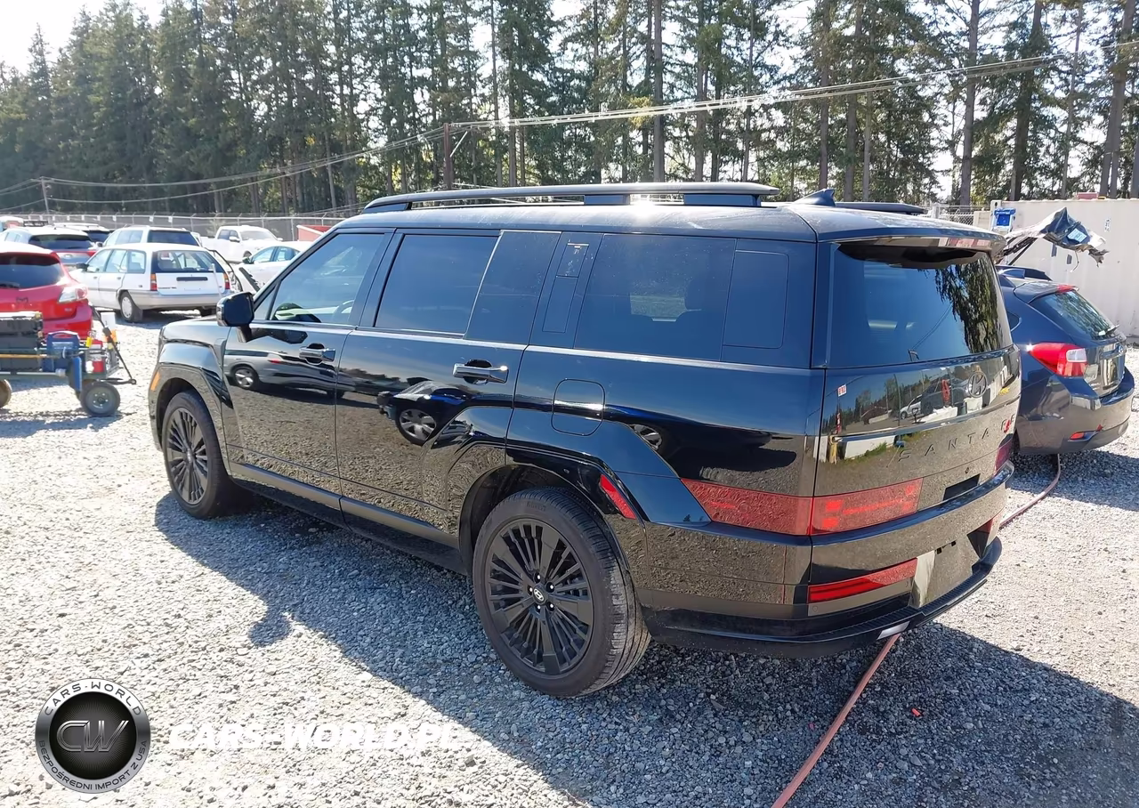 2025 Hyundai Santa Fe Hybrid Calligraphy VIN:5NMP5DG15SH043533 - 3