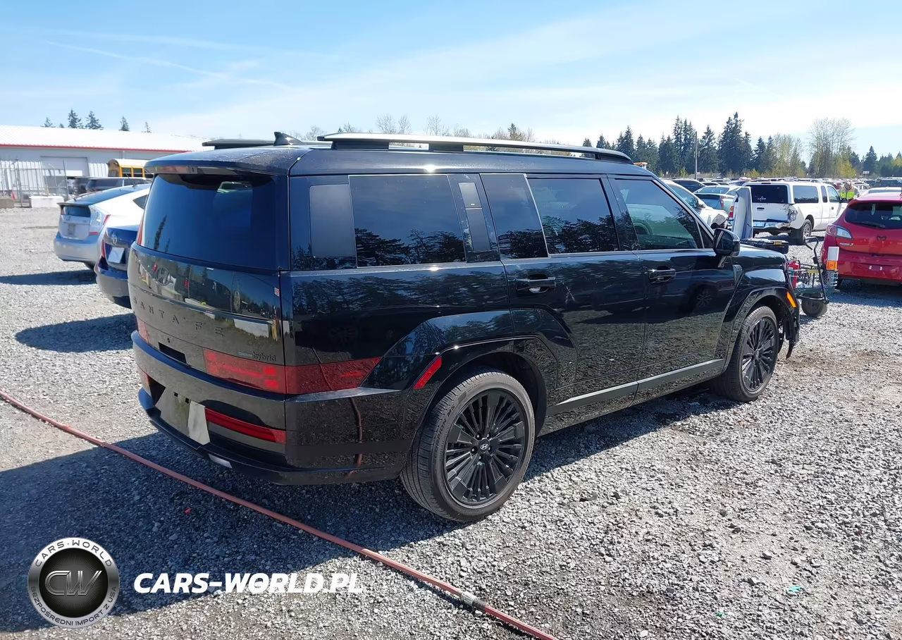 2025 Hyundai Santa Fe Hybrid Calligraphy VIN:5NMP5DG15SH043533 - 4