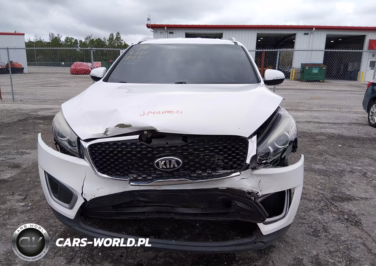 2017 Kia Sorento 2.4L Lx VIN:5XYPG4A32HG265311 - 13