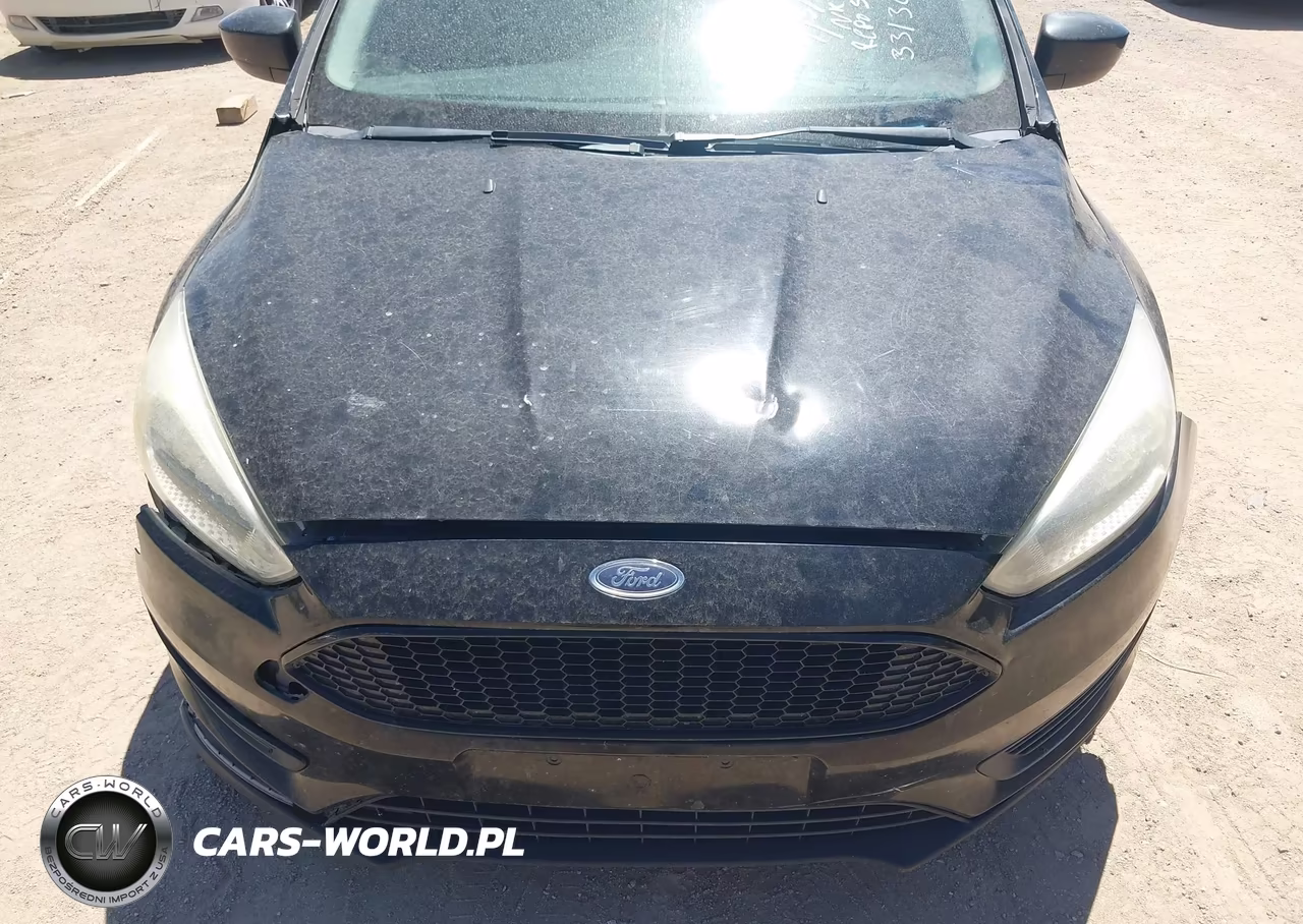 2018 Ford Focus Se VIN:1FADP3K24JL331361 - 10