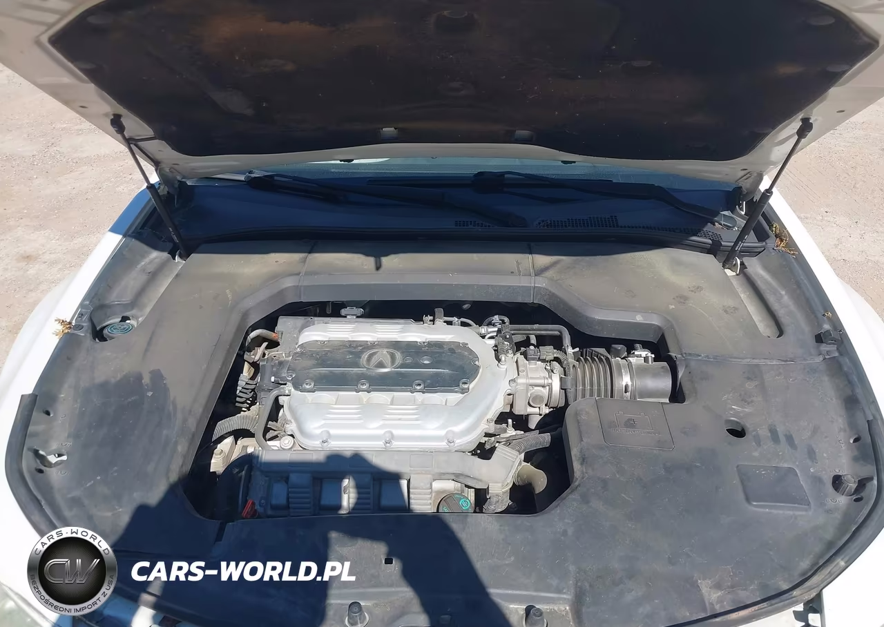 2009 Acura Tl 3.5 VIN:19UUA86549A007283 - 10