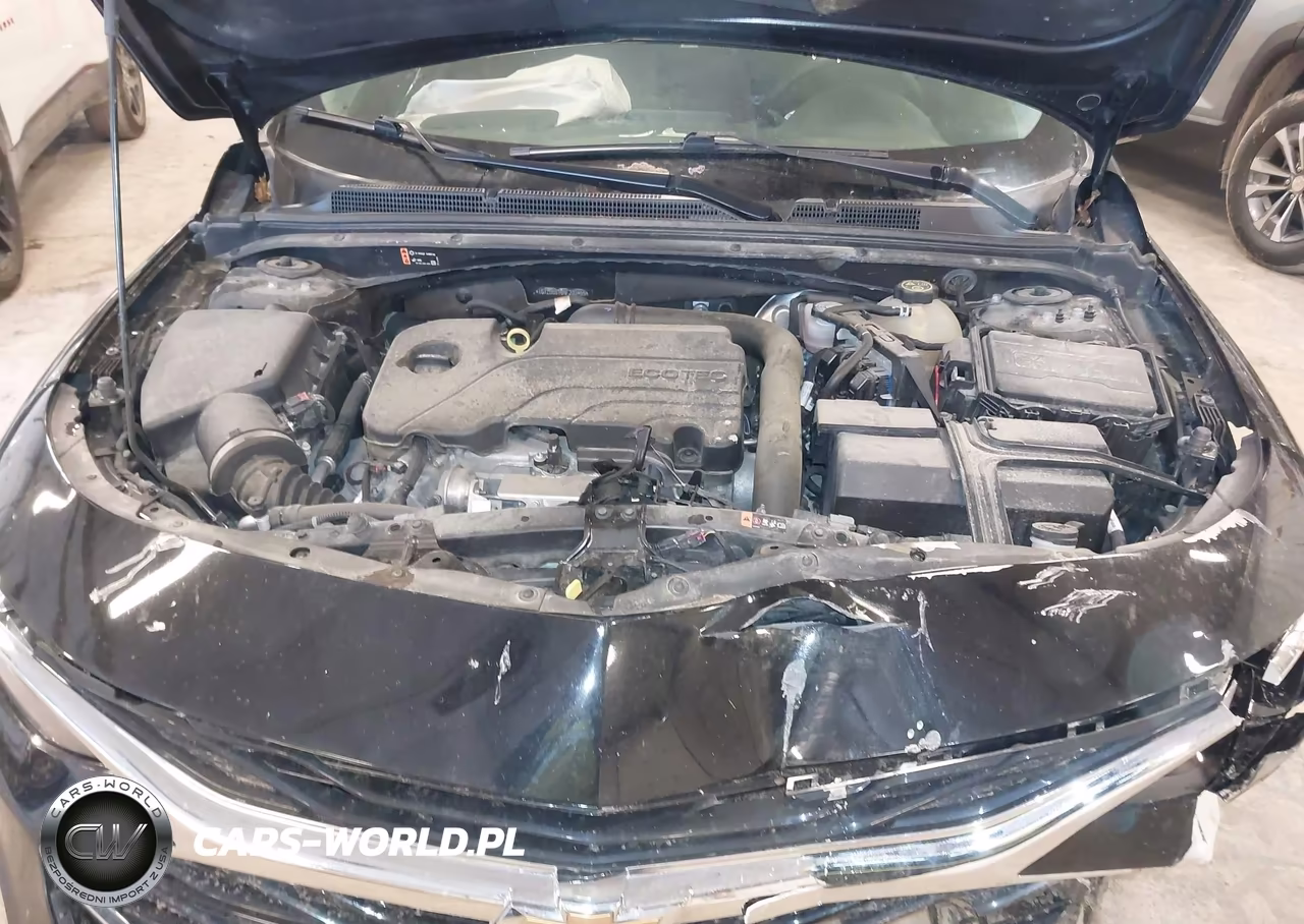2022 Chevrolet Malibu Fwd Lt VIN:1G1ZD5ST6NF203455 - 10