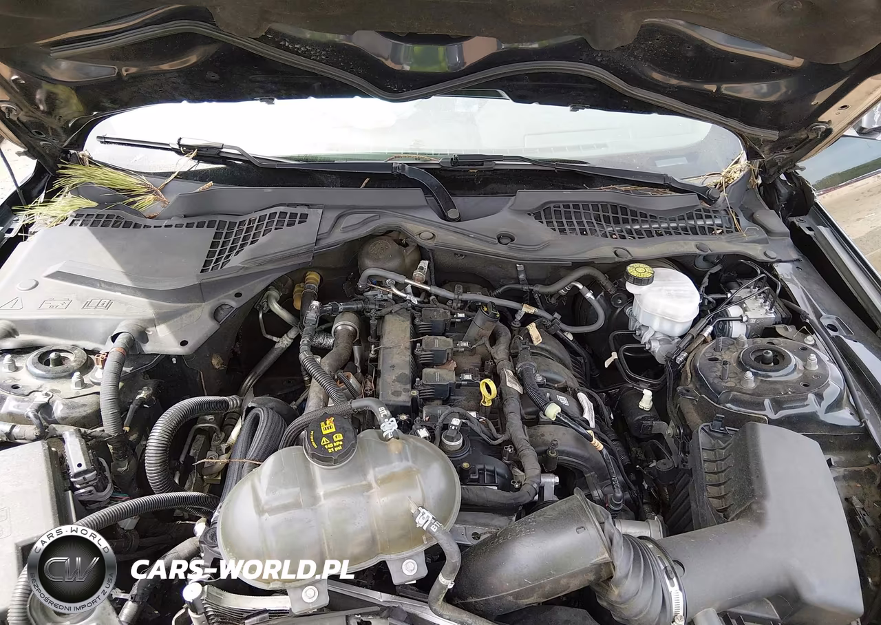 2019 Ford Mustang Ecoboost VIN:1FA6P8TH0K5203178 - 10